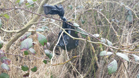 kein Osterschmuck - Hundekotbeutel in Wald und Flur