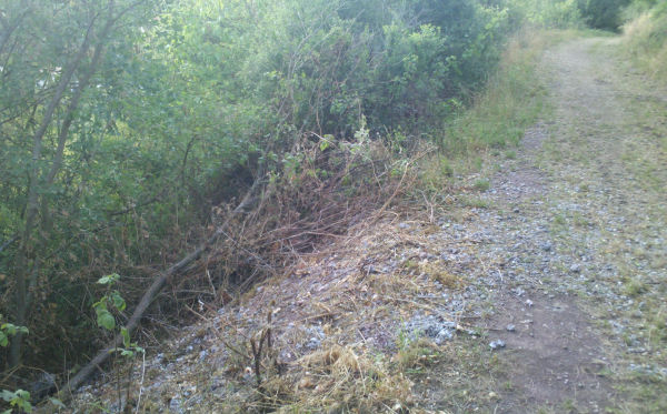 Bauabfälle im idyllischen Spazierweg