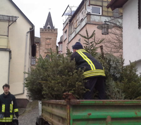 Aufladen der Bäume in der Franziskastraße, Einmündung Bachstraße