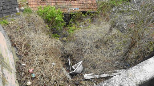 Jdische Vergangenheit unter Schandfleck begraben